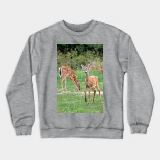 Curious Doe Crewneck Sweatshirt